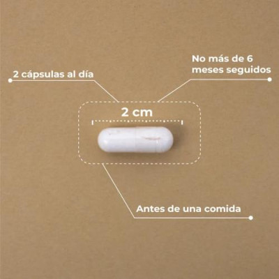 Kobho Labs Prebiótico + Postbiótico para Salud Intestinal 60c