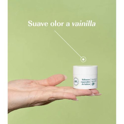 Green Cornerss Bálsamo Labial de Aguacate 15ml Hidratante