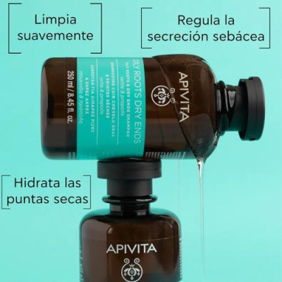 Apivita Champú Equilibrante Raíz Grasa y Puntas Secas 250ml