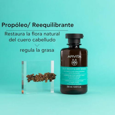 Apivita Champú Equilibrante Raíz Grasa y Puntas Secas 250ml