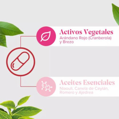 Arkopharma Cis-Control Cranberola Flash 20 cápsulas para vías urinarias