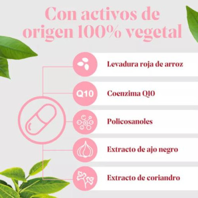 Arkosterol Plus 30 cápsulas: controla el colesterol de forma natural