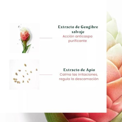 Rene Furterer Neopur Champú Caspa Seca 150ml | Anticaspa eficaz