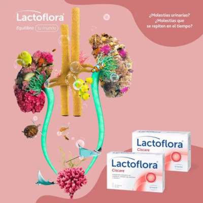 Lactoflora Ciscare Arándano, Vitamina C y Probióticos 2x30 cáps