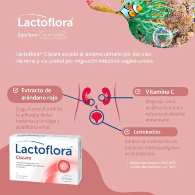 Lactoflora Ciscare Arándano, Vitamina C y Probióticos 2x30 cáps